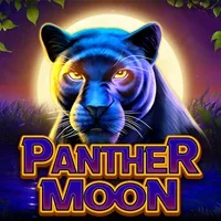 Panther Moon